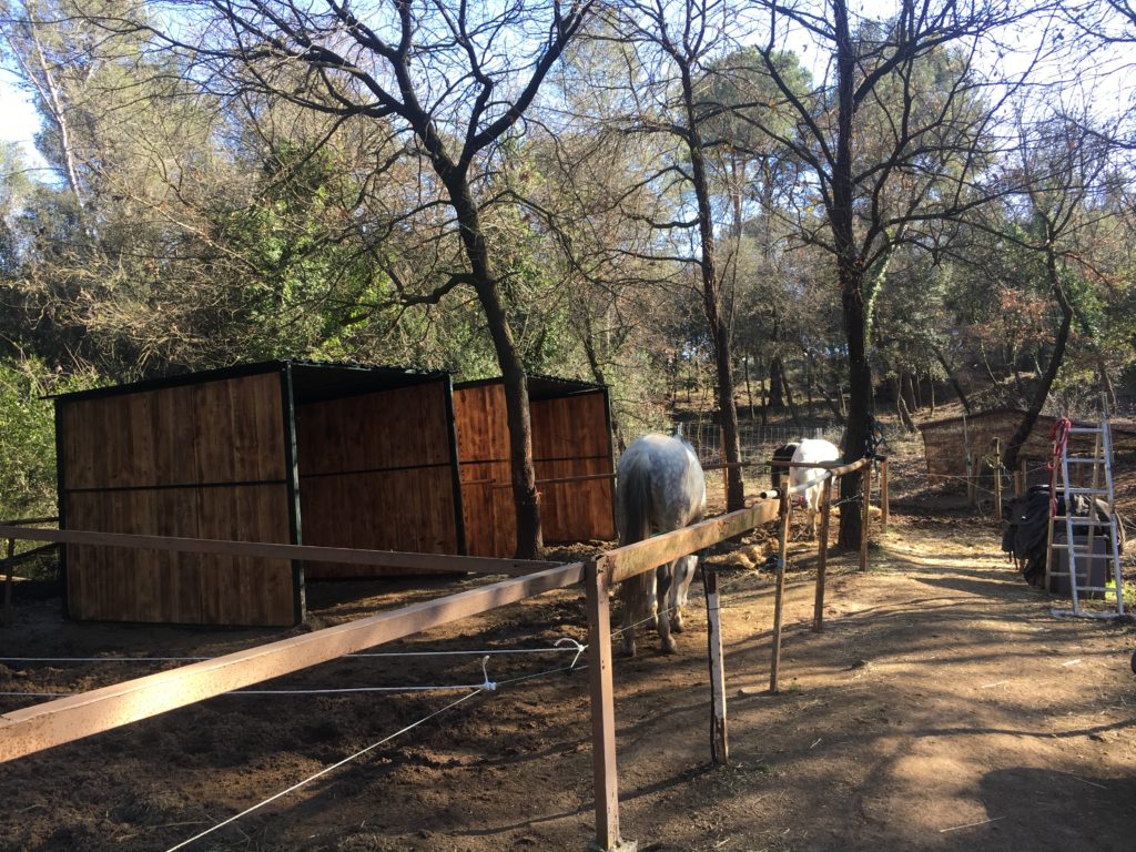 paddocks caballo Barcelona, centro ecuestre Severino, hípica Sant Cugat